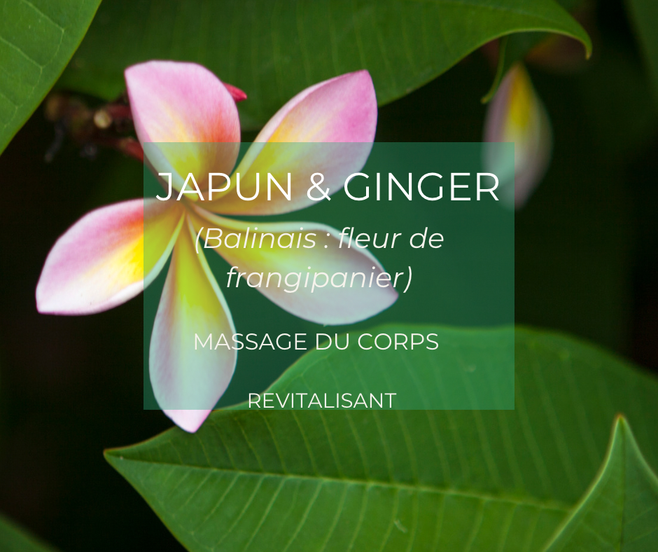 destination Bali : Japun & Ginger