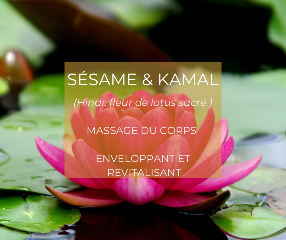 destination Inde : Sésame & Kamal
